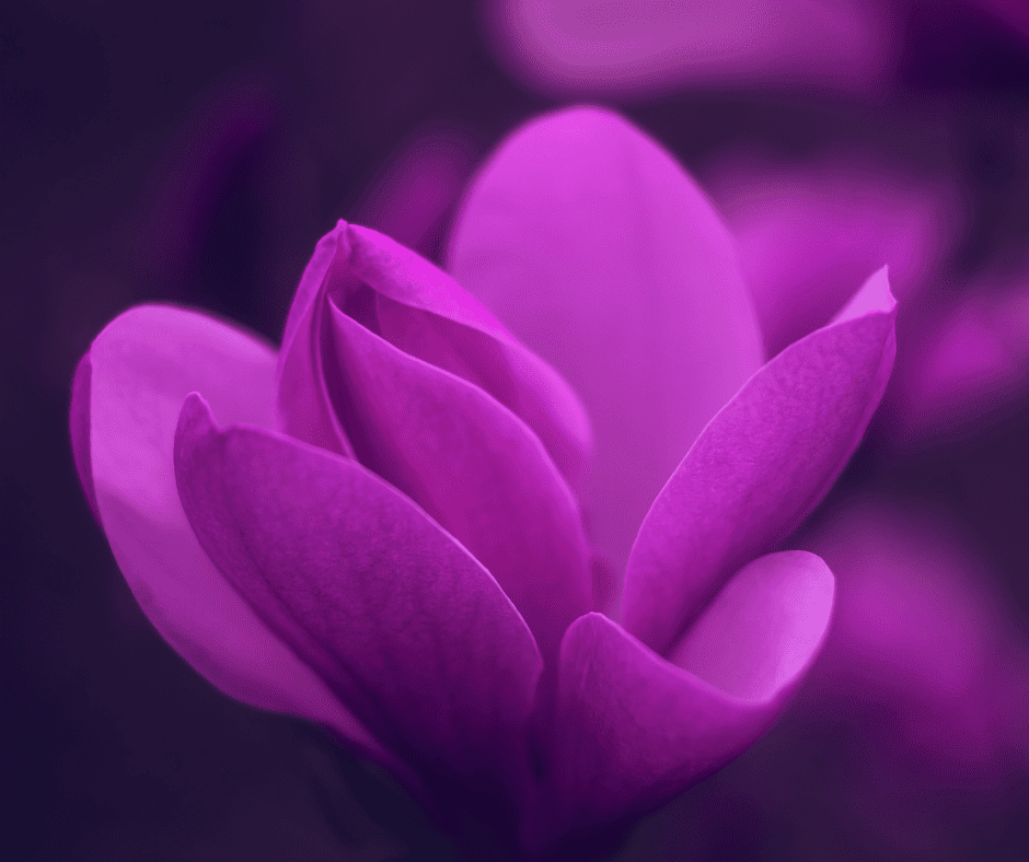 purple color psychology